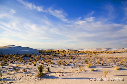 White Sands_32390.jpg - Photographed at the White Sands National Monument near Alamogordo, New Mexico, USA.